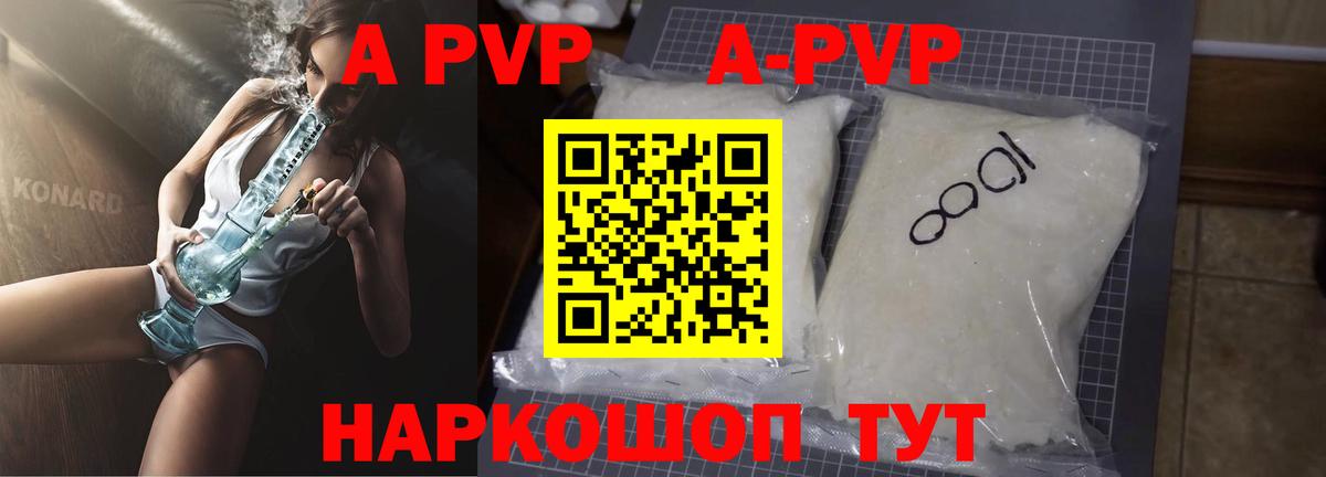 Альфа ПВП СК Кингисепп