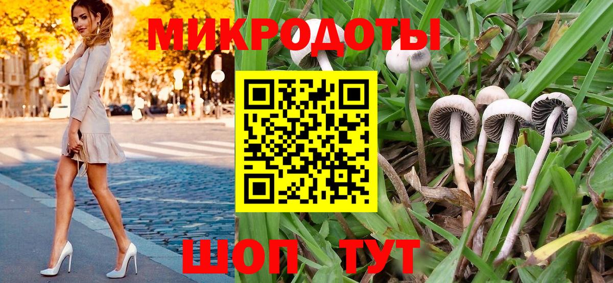 Галлюциногенные грибы Psilocybine cubensis Кингисепп