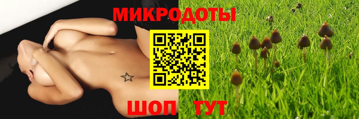 Псилоцибиновые грибы мухоморы  Псилоцибиновые грибы ЛСД  Кингисепп  даркнет сайт  Вход с VPN 